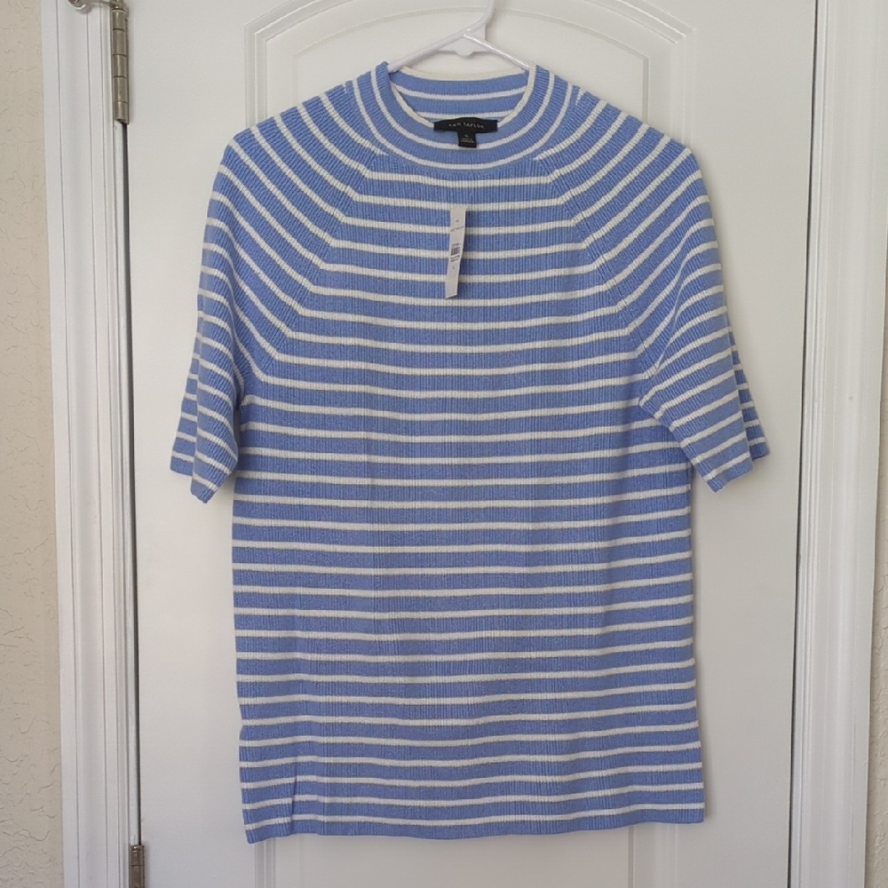 Ann Taylor Blue and White Striped Top